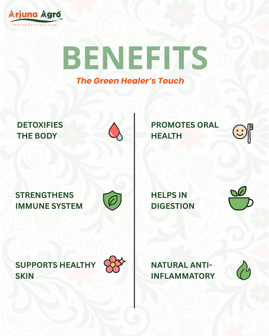 Neem Powder