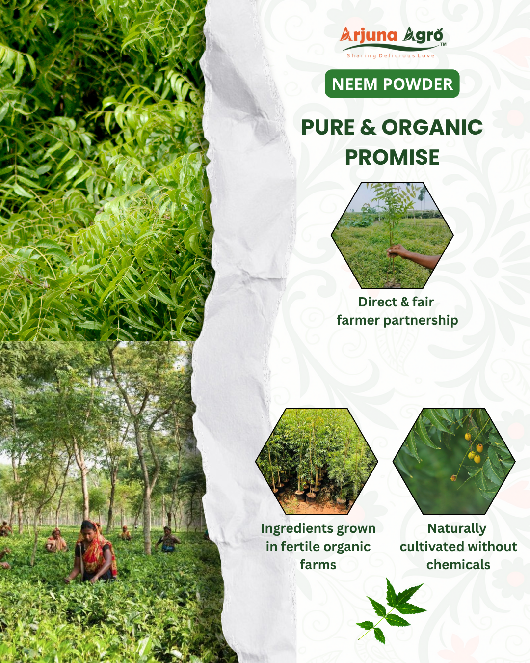 Neem Powder